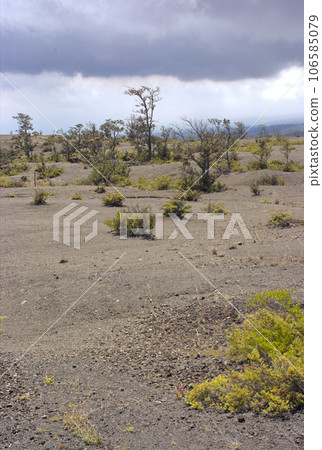 Kilauea Crater in Hawaii Volcanoes National Park Kilauea Crater in Hawaii Volcanoes National Park 106585079