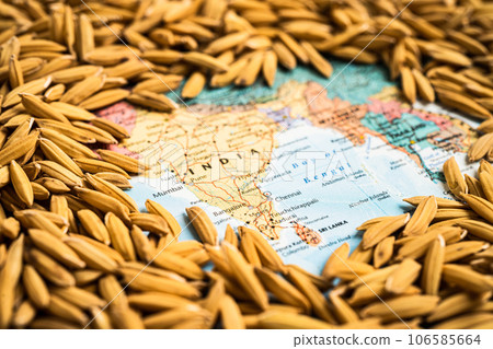 Bangkok, Thailand May 14, 2023 Brown rice paddy seeds on India map, India rice export ban trigger a global food crisis concept. Bangkok, Thailand May 14, 2023 Brown rice paddy seeds on India map, India rice export ban trigger a global food crisis concept. 106585664
