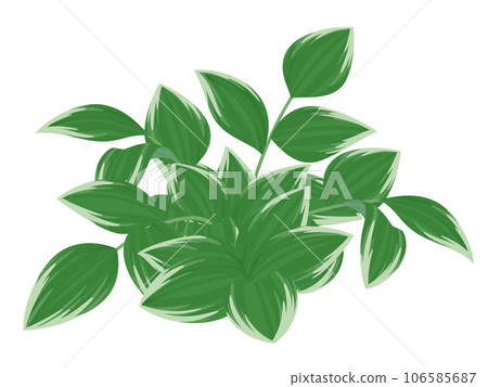 Naruko lily illustration Naruko lily illustration 106585687