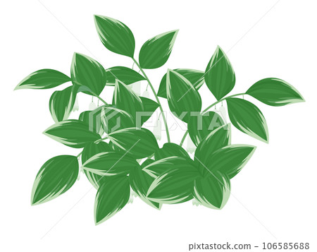 Narco lily illustration_with flowers Narco lily illustration_with flowers 106585688