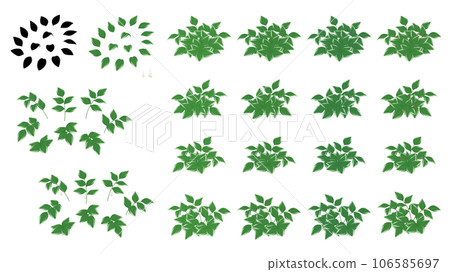 毒梟百合插畫素材集 毒梟百合插畫素材集 106585697