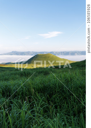 Aso, early morning rice mound and sea of clouds (Aso Kuju National Park) 106585926