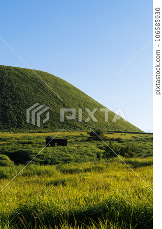 Aso's Yonezuka in the morning sun (Aso Kuju National Park) 106585930