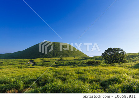 Aso's Yonezuka in the morning sun (Aso Kuju National Park) 106585931