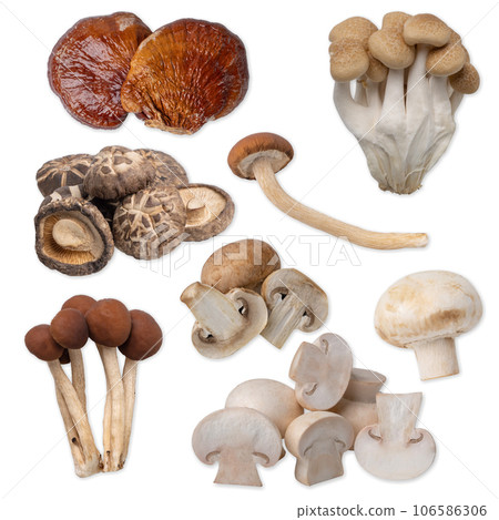 Assorted of edible mushrooms isolated on white background with clipping path. 106586306