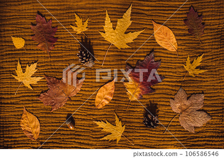 Autumn fall background with yellow and brown dry leaves and cones on brown earthy tones fabric texture background, top view Autumn fall background with yellow and brown dry leaves and cones on brown earthy tones fabric texture background, top view 106586546