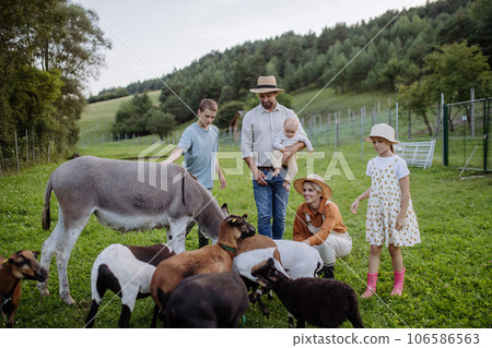 Portrait of farmer family petting animals on their farm. 106586563