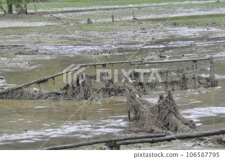 Flooded area in the countryside 106587795