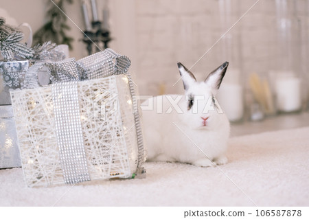 White rabbit with a gift under the tree as a symbol of the new year 2023. White rabbit with a gift under the tree as a symbol of the new year 2023. 106587878