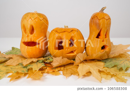 Group of jack-o-lantern on maple leaves. Halloween decoration on a white background. 106588308