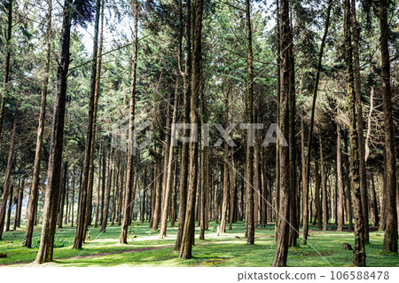 Kinale Forest is located 60kms from Nairobi along the Nairobi- Naivasha highway, Kinungi route. The forest has several largely unexplored tourist attractions including Thiririka Water Falls, Theta Dam 106588478