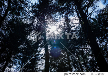 Kinale Forest is located 60kms from Nairobi along the Nairobi- Naivasha highway, Kinungi route. The forest has several largely unexplored tourist attractions including Thiririka Water Falls, Theta Dam Kinale Forest is located 60kms from Nairobi along the Nairobi- Naivasha highway, Kinungi route. The forest has several largely unexplored tourist attractions including Thiririka Water Falls, Theta Dam 106588483