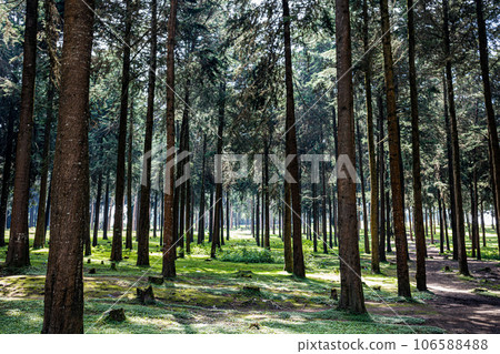 Kinale Forest is located 60kms from Nairobi along the Nairobi- Naivasha highway, Kinungi route. The forest has several largely unexplored tourist attractions including Thiririka Water Falls, Theta Dam Kinale Forest is located 60kms from Nairobi along the Nairobi- Naivasha highway, Kinungi route. The forest has several largely unexplored tourist attractions including Thiririka Water Falls, Theta Dam 106588488