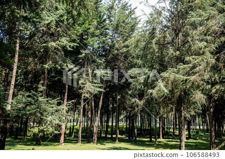 Kinale Forest is located 60kms from Nairobi along the Nairobi- Naivasha highway, Kinungi route. The forest has several largely unexplored tourist attractions including Thiririka Water Falls, Theta Dam 106588493