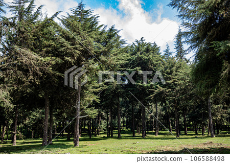 Kinale Forest is located 60kms from Nairobi along the Nairobi- Naivasha highway, Kinungi route. The forest has several largely unexplored tourist attractions including Thiririka Water Falls, Theta Dam Kinale Forest is located 60kms from Nairobi along the Nairobi- Naivasha highway, Kinungi route. The forest has several largely unexplored tourist attractions including Thiririka Water Falls, Theta Dam 106588498