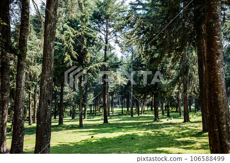 Kinale Forest is located 60kms from Nairobi along the Nairobi- Naivasha highway, Kinungi route. The forest has several largely unexplored tourist attractions including Thiririka Water Falls, Theta Dam Kinale Forest is located 60kms from Nairobi along the Nairobi- Naivasha highway, Kinungi route. The forest has several largely unexplored tourist attractions including Thiririka Water Falls, Theta Dam 106588499