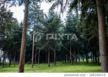 Kinale Forest is located 60kms from Nairobi along the Nairobi- Naivasha highway, Kinungi route. The forest has several largely unexplored tourist attractions including Thiririka Water Falls, Theta Dam 106588519