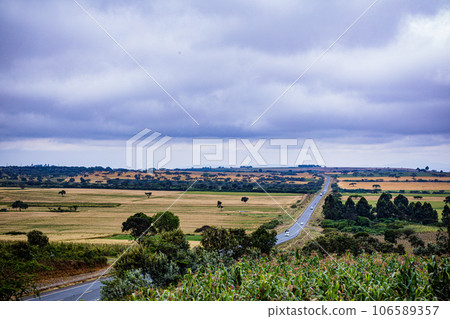 Wheat Farm Plantations Along Narok Ntulele Highway Landscapes Great Rift Valley Kenya East Africa Wheat Farm Plantations Along Narok Ntulele Highway Landscapes Great Rift Valley Kenya East Africa 106589357