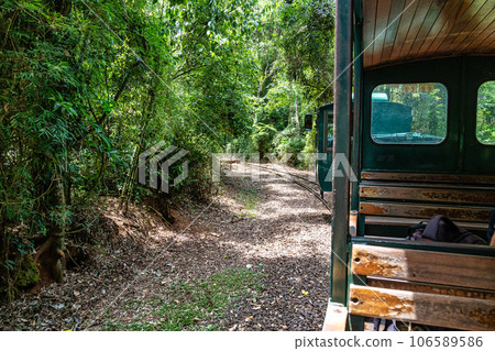 Rainforest Ecological Train at Iguazu Falls National Park in Argentina. Rainforest Ecological Train at Iguazu Falls National Park in Argentina. 106589586