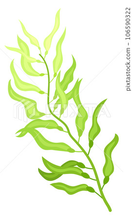 Green algae cartoon icon. Aquatic nature plant Green algae cartoon icon. Aquatic nature plant 106590322