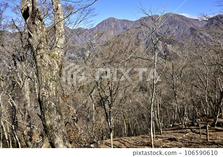 從丹澤鐵保澤之香山頂的森林看到的主要丹澤幹線 106590610