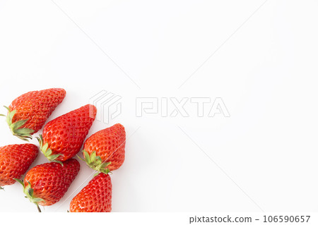 草莓白背 106590657