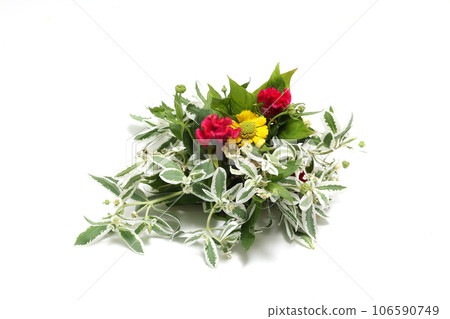 雪花蓮和雞冠花束 雪花蓮和雞冠花束 106590749