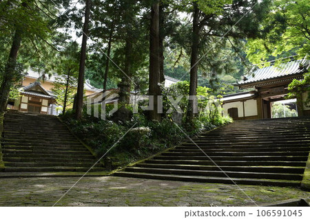 Late Summer Shrine Late Summer Shrine 106591045