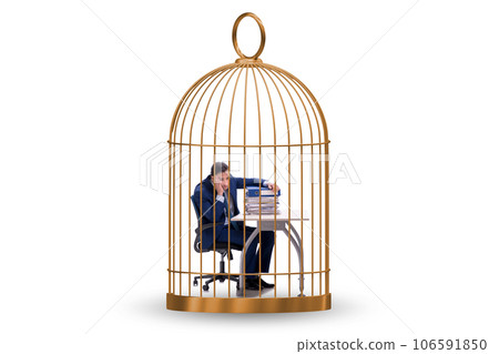Businessman caught in the cage Businessman caught in the cage 106591850