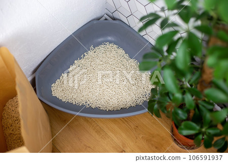 Gray plastic corner cat tray with light filler granules, indoors 106591937