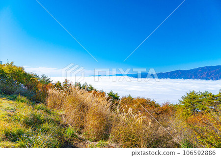 [雲海素材]秋天從神風形山看到稻穀的雲海[長野縣] 106592886