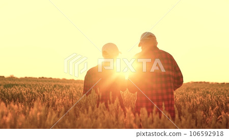 teamwork farmer engineer tablet. farmer deal project golden wheat field.agriculture concept. satisfied owner field made business deal. conversation employee chief agronomist field golden wheat ear. 106592918