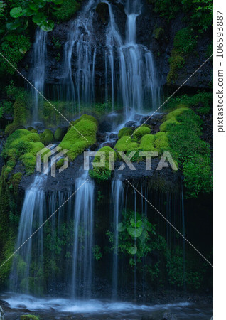 Toryu Falls on a shady summer morning Toryu Falls on a shady summer morning 106593887