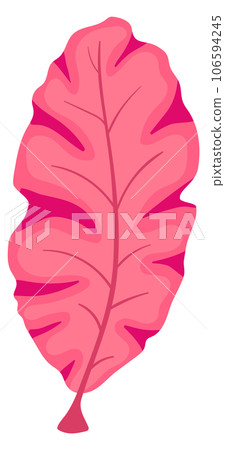 Red seaweed. Underwater botany. Marine life plant 106594245