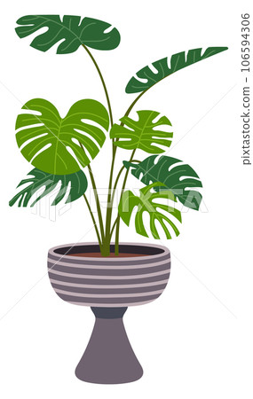 Monstera color icon. Urban jungle plant pot Monstera color icon. Urban jungle plant pot 106594306