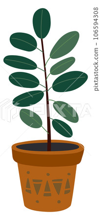 Ficus pot color icon. Interior decoration botany Ficus pot color icon. Interior decoration botany 106594308