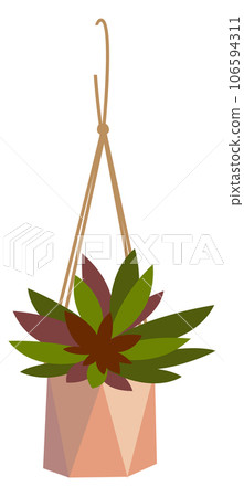 Hanging flowerpot with cute green plant. House decoration Hanging flowerpot with cute green plant. House decoration 106594311