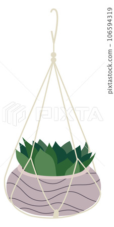 Home greenery. House decoration. Flowerpot with green plant 106594319