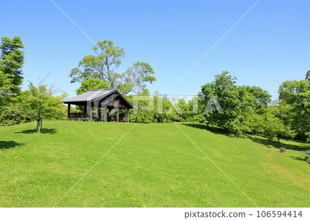 Fresh green park 106594414