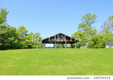 Fresh green park Fresh green park 106594418