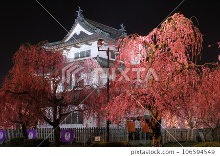 青森縣弘前市下白銀町弘前公園 被紅花包圍的天守閣在夜間點亮 青森縣弘前市下白銀町弘前公園 被紅花包圍的天守閣在夜間點亮 106594549