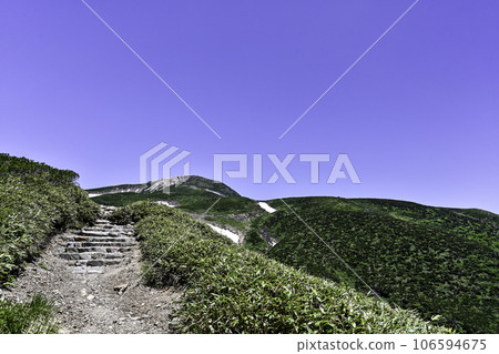 初夏的白山,高山植物盛開 初夏的白山,高山植物盛開 106594675