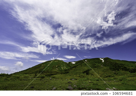 初夏的白山，高山植物盛開 106594681