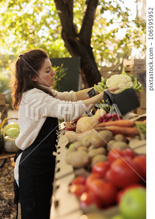 Happy stand owner in apron preparing produce for working day at local farmers market, putting fresh locally grown bio fruits and vegetables. Local agricultural businesses concept. 106595952