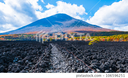 燒橋熔岩流和岩手山（秋季） 106596251