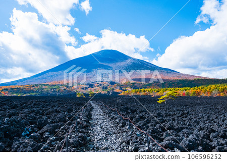 燒橋熔岩流和岩手山(秋季) 燒橋熔岩流和岩手山(秋季) 106596252