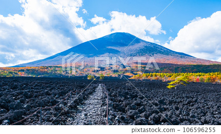 燒橋熔岩流和岩手山（秋季） 106596255