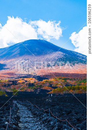 燒橋熔岩流和岩手山（秋季） 106596259