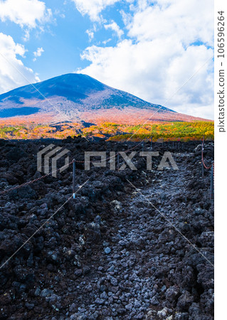 Yakehashiri lava flow and Mt. Iwate (autumn) 106596264