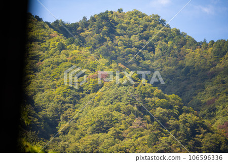 Green mountain Green mountain 106596336